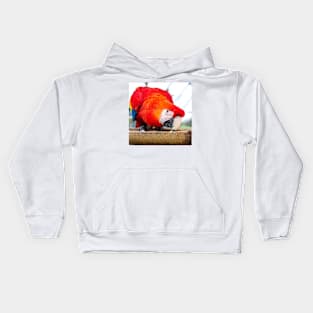 Macaw Parrot Kids Hoodie